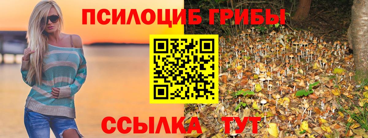 Малгобек  Галлюциногенные грибы прущие грибы  Вход с VPN 