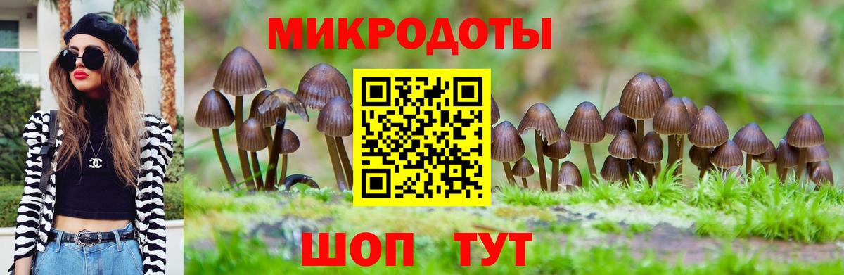 Галлюциногенные грибы прущие грибы Малгобек