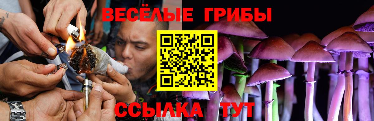 Галлюциногенные грибы Psilocybe  Малгобек  Псилоцибиновые грибы мухоморы 